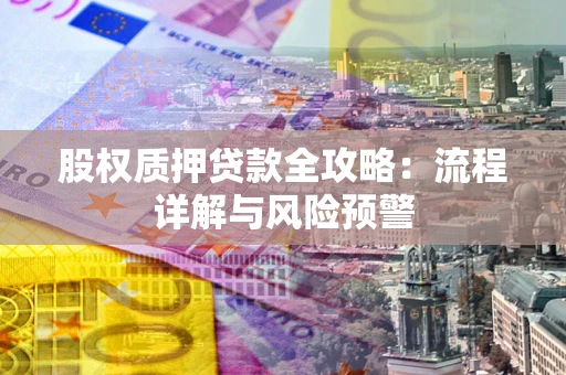 北京股权质押贷款全攻略：流程详解与风险预警