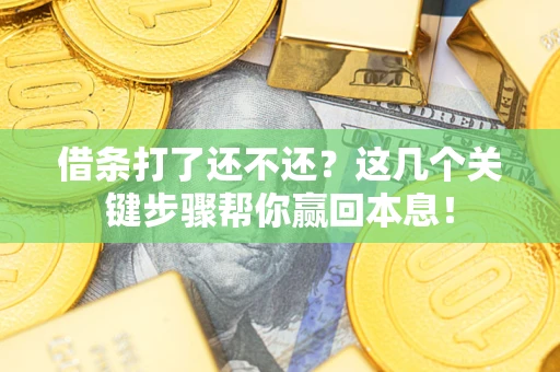 北京借条打了还不还？这几个关键步骤帮你赢回本息！