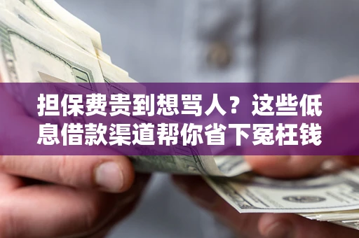 北京担保费贵到想骂人？这些低息借款渠道帮你省下冤枉钱
