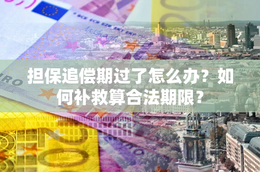 北京担保追偿期过了怎么办？如何补救算合法期限？