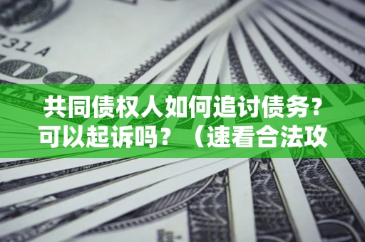 北京共同债权人如何追讨债务？可以起诉吗？（速看合法攻略）