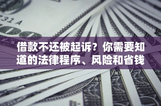北京借款不还被起诉？你需要知道的法律程序、风险和省钱技巧